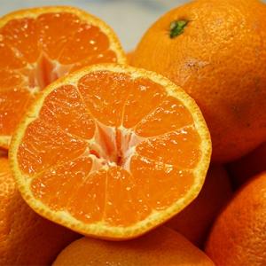 ふるさと納税 和歌山市 和歌山産 みかん 秀品　10kg