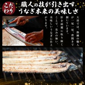 ふるさと納税 日南市 職人手焼きうなぎ 1匹【...の詳細画像1