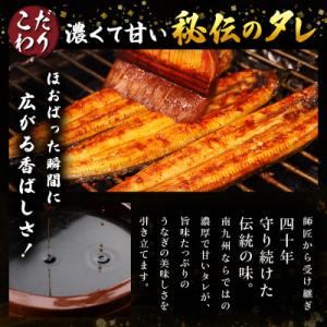 ふるさと納税 日南市 職人手焼きうなぎ 1匹【...の詳細画像2