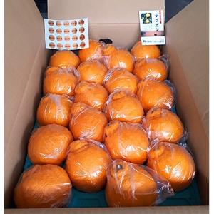ふるさと納税 三豊市 【先行受付2027年】貯蔵デコポン　約5kg