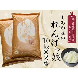 ふるさと納税 寝屋川市 しあわせのれんげっ娘(精米):10kg×2袋