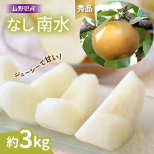 ふるさと納税 飯田市 ジューシーで甘い!長野県産 梨 (南水) 約3キロ 秀品〈2026年9月中旬〜10月中旬発送〉