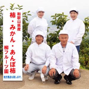 ふるさと納税 橋本市 あんぽ柿【先行受付】柳フ...の詳細画像3