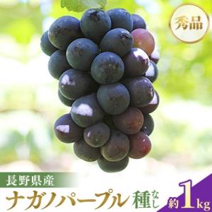 ふるさと納税 高森町 【皮ごとOK!】長野県産・種なしナガノパープル(約1kg)秀品