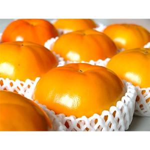 ふるさと納税 橋本市 【先行受付】柳フルーツ園の富有柿　5kg｜Yahoo!ふるさと納税