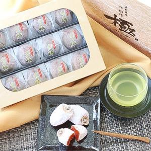 ふるさと納税 飯田市 信州の特産品「市田柿・極...の詳細画像1