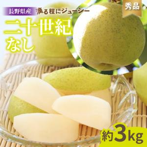 ふるさと納税 飯田市 滴る程にジューシーな梨 長野県産　梨(二十世紀) 約3kg 秀品〈2026年9月上旬〜9月下旬発送〉