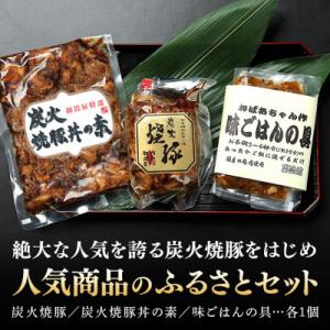 ふるさと納税 八百津町 炭火焼豚・焼豚丼の素・...の詳細画像3