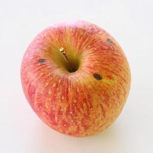 ふるさと納税 高森町 【訳あり品】 長野県産・サンふじ(約10kg)