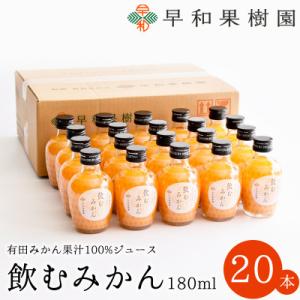 ふるさと納税 有田市 【早和果樹園】飲むみかん20本入|有田みかん100%ストレートジュース｜Yahoo!ふるさと納税