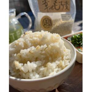 ふるさと納税 岡山市 【令和8年産】岡山西大寺...の詳細画像3