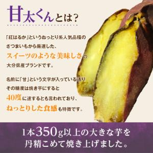 ふるさと納税 大野城市 【11月下旬より順次発...の詳細画像1