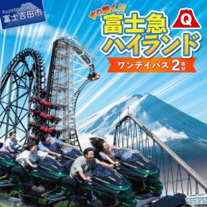 ふるさと納税 富士吉田市 富士急ハイランド ワンデイパス ペアチケット 【 遊園地 絶叫 トーマスラ...