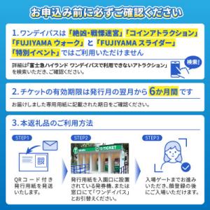 ふるさと納税 富士吉田市 富士急ハイランド ワ...の詳細画像3
