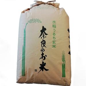 ふるさと納税 天理市 【令和8年10月中旬以降発送】ひのひかり(奈良県天理産)玄米30kg【令和8年...