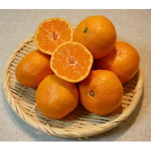 ふるさと納税 和歌山市 和歌山産 みかん 秀品 5kg (サイズおまかせ)