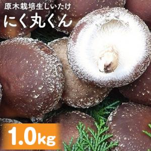 ふるさと納税 人吉市 熊本県人吉市産　原木栽培生しいたけ「にく丸くん」約1kg
