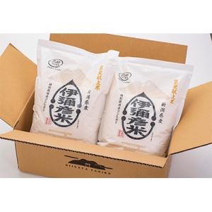 ふるさと納税 弥彦村 【令和7年産・皇室献上米】「伊彌彦米」(2018年献上) 8kg (2kg×4...