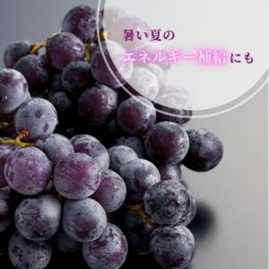 ふるさと納税 弥彦村 【ぶどう界の大御所】農家...の詳細画像3