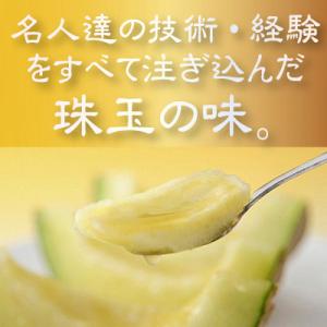 ふるさと納税 袋井市 【通年出荷】クラウンメロ...の詳細画像1