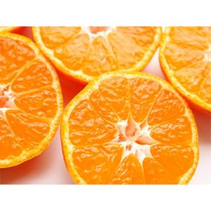 ふるさと納税 美浜町 【ご家庭用】和歌山有田みかん約10kg(S、Mサイズ)【美浜町】