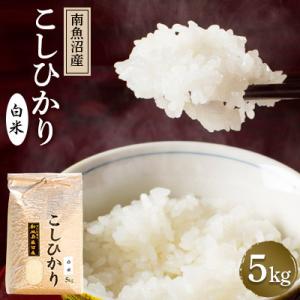ふるさと納税 南魚沼市 【令和8年産 新米】南魚沼産コシヒカリ(白米)【5kg】新潟県の特A地区南魚沼市の美味しいお米