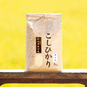 ふるさと納税 南魚沼市 【令和8年産 新米】南...の詳細画像1