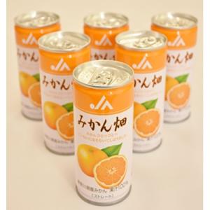 ふるさと納税 松田町 【JAかながわ西湘】みかん畑(うんしゅうみかんジュース)195g×30缶