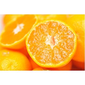 ふるさと納税 海南市 完熟早生みかん　家庭用　サイズおまかせ(S・M・L)　5kg　【和歌山県産　産地直送】