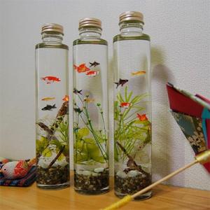 ふるさと納税 富士吉田市 金魚のハーバリウムの詳細画像3
