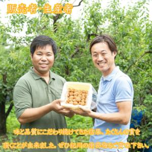 ふるさと納税 御坊市 【農林水産大臣賞】厳選 ...の詳細画像3
