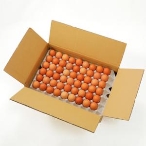 ふるさと納税 榛東村 岩田のおいしい卵 小玉9...の詳細画像3