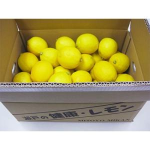 ふるさと納税 三豊市 【先行受付2027年】三豊市産　瀬戸内レモン約5kg(30〜50個前後)