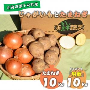 ふるさと納税 訓子府町 【先行受付　10月下旬以降発送】佐藤農場のじゃがいも「男爵」10kgと玉葱10kgセット