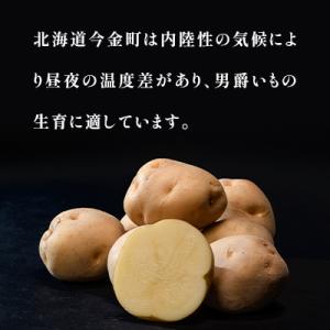 ふるさと納税 今金町 北海道今金産【今金男爵】...の詳細画像1