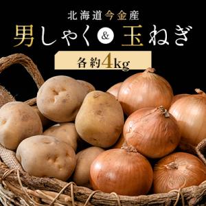 ふるさと納税 今金町 北海道今金産　男爵&amp;玉ねぎセット　各約4kg