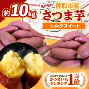 ふるさと納税 香取市 【先行受付】【訳あり】香取市産 さつまいもシルクスイート 約10kg×1