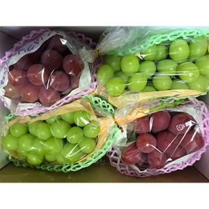 ふるさと納税 長野市 人気ぶどう食べ比べセット...の詳細画像1