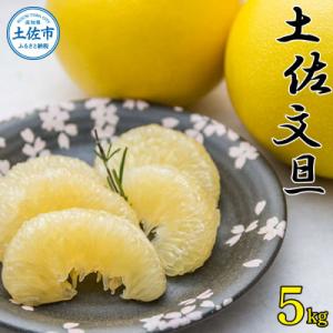 ふるさと納税 土佐市 高知県産　土佐文旦　こだわり品　約5kg