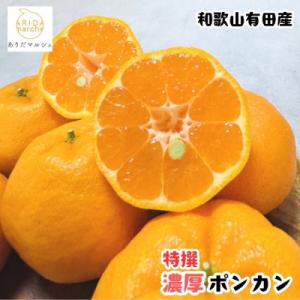 ふるさと納税 湯浅町 ≪先行予約・2027年1月〜発送≫ 特撰 濃厚ポンカン 3kg