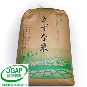 ふるさと納税 横手市 令和7年産「淡雪こまち」玄米30kg【JGAP認証】【秋田県特別栽培農産物認証】