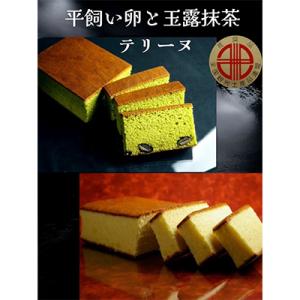 ふるさと納税 安城市 デ・レーヴのカステラ2種の詰め合わせ