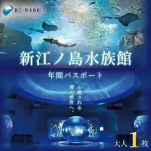 ふるさと納税 藤沢市 新江ノ島水族館　年間パスポート引換券　大人 1枚