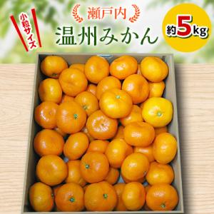 ふるさと納税 高松市 【先行受付2026年】瀬戸内温州みかん　小粒サイズ　約5kg【2026年10月...