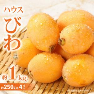 ふるさと納税 高松市 【先行受付2027年】ハウスびわ　約1kg
