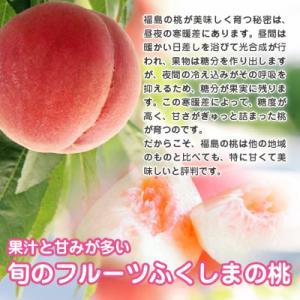 ふるさと納税 鏡石町 石井果樹園の桃 約4kgの詳細画像1
