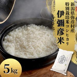 ふるさと納税 弥彦村 令和7年産 特別栽培米コシヒカリ「伊彌彦米」5kg×1袋 新潟県産 精米 弥彦村産