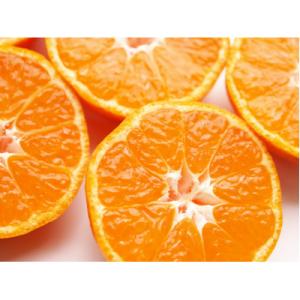 ふるさと納税 美浜町 【ご家庭用】和歌山有田みかん約5kg(SS、Sサイズ)【美浜町】