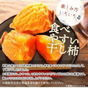 ふるさと納税 和歌山市 【和歌山市】紀州かつら...の詳細画像1