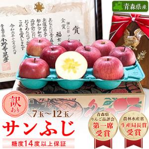 ふるさと納税 青森市 「サンふじ」約3kg・糖度14度以上保証・訳あり 家庭用 りんご 【青森県りん...